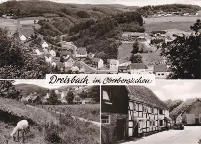 Verein