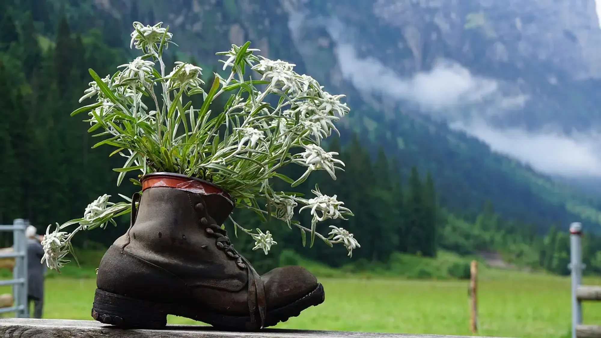 Nachholtermin Wandertag 2026