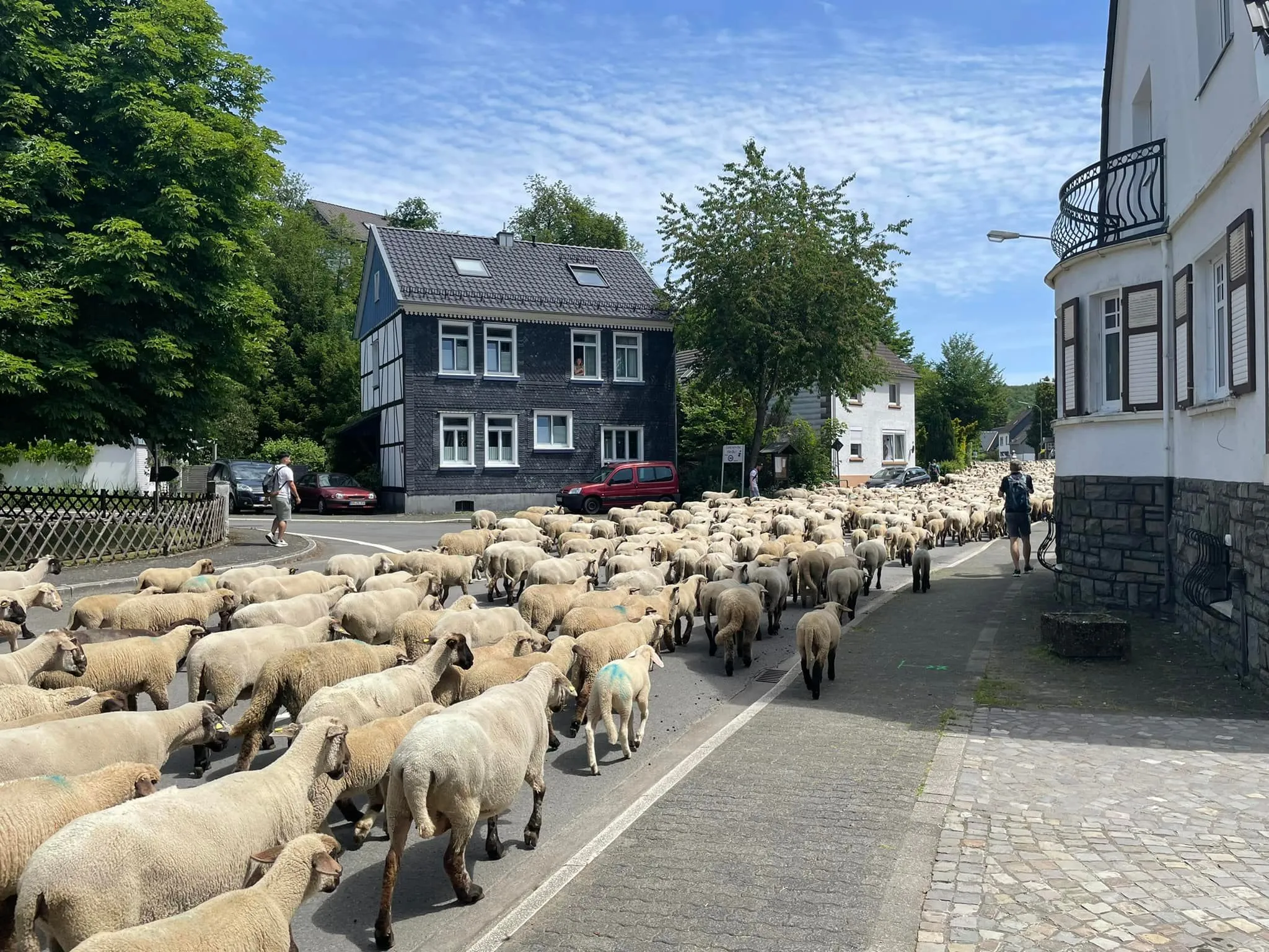 Dreisbacher Dorfleben.jpg